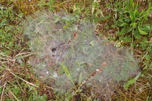 Was ist das ?