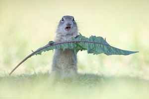 Hääääähhh....