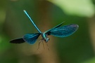 Landeanflug