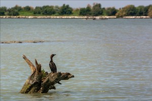 Blick in die Ferne
