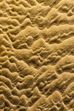 Sandberge