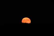 Der Erdbeermond