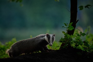 Spät am Abend