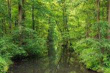 Wunderschöner Spreewald ...