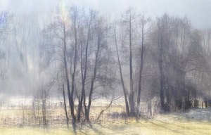 Morgenstimmung