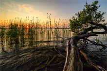 Noch einmal ein wenig vom Plauer See in Meck-Pomm