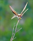 *Beim Abflug*
