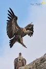 Der Landeanflug ...