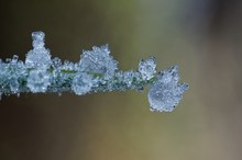 eine kleine Abkühlung