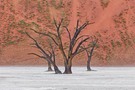 Deadvlei