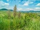 "Impressionen aus der Pfalz"