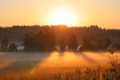Sommermorgen