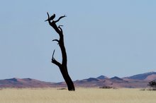 Irgendwo in der Namibwüste