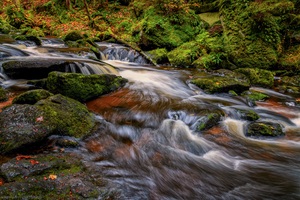 Tanz des Wassers