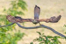 Abflug!