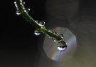 fragile Welt