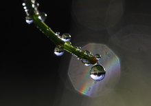 fragile Welt