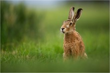 Begegnung im Feld