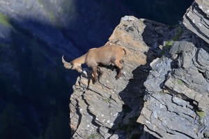 Ich muss mal nachsehen