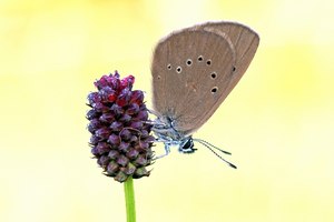 Ein Rätsel
