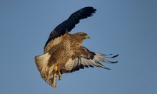 Abflug