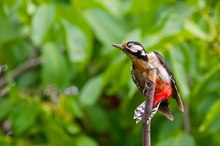 Augen zu und Abflug