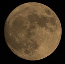 Mond