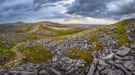 Burren