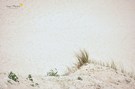 Am Strand