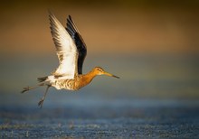 Abflug