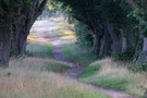 sein Weg