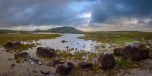 Burren im Regen