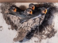 voller Erwartung