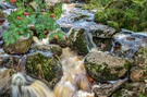 Noch ein Bild vom kleinen Brockenbach!