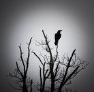 Krabat