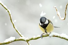 Kleiner Vorgeschmack