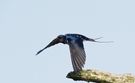 Abflug