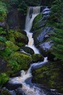 Triberger Wasserfälle