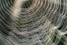 ______vernetzt_________