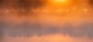 _____morgenlicht________________