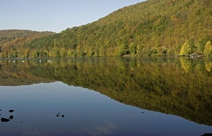 Herbst am Hengsteysee