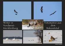 Wintermotive aus Nordwestmecklenburg