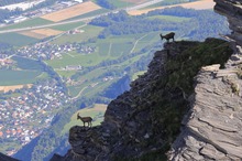 Zwei Kumpel