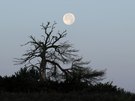 Vollmond..