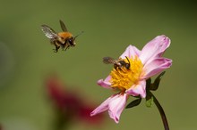 ordentlicher Andrang