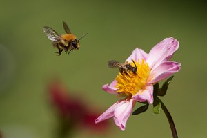 ordentlicher Andrang
