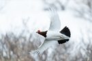 Abflug