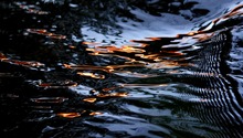 Feuerwasser?