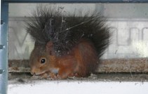 Randale in der Garage ...