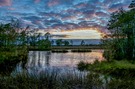 Pietzmoor 2